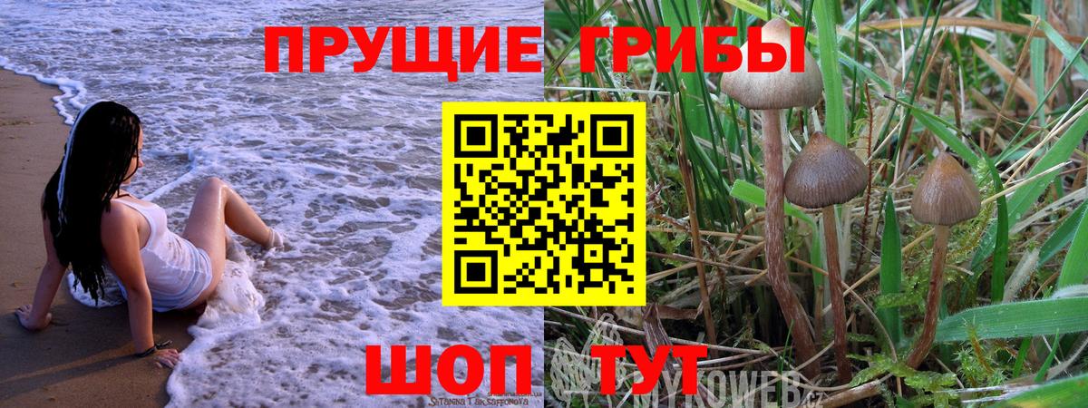 Псилоцибиновые грибы прущие грибы  Вход с VPN  Киров 